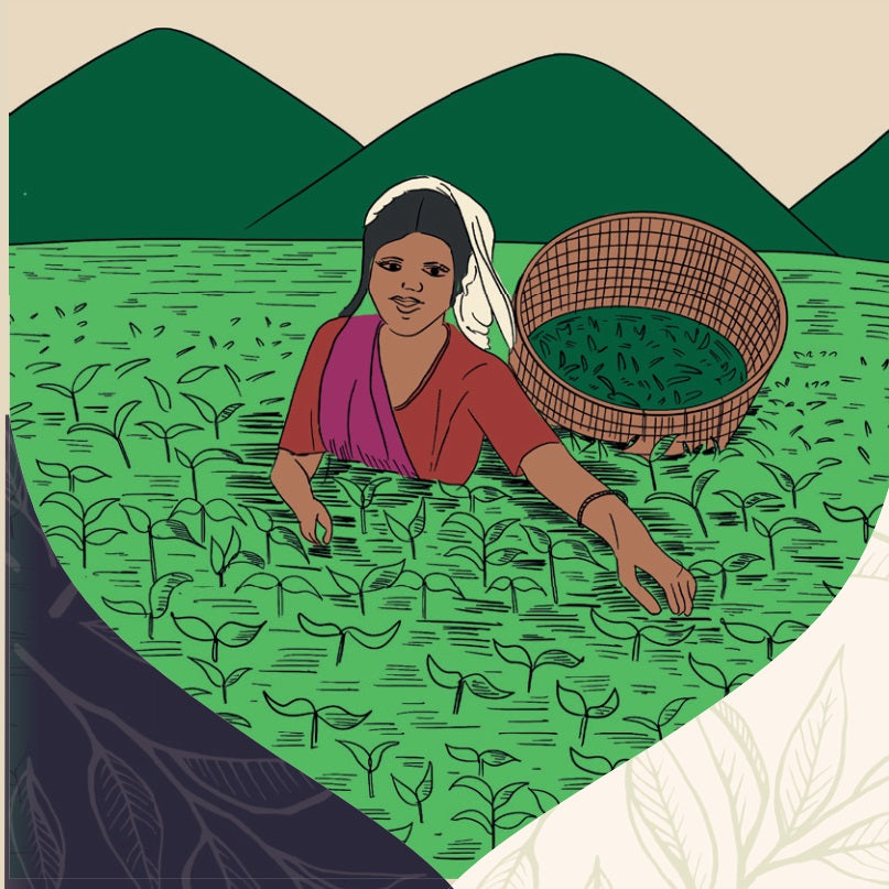 Tè nero ASSAM STGFOP DAM DIM, tè nero dall'India, 90g