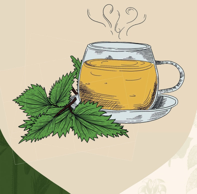 Tè naturale di erbe FOGLIE DI ORTICA, intenso, aromatico, 50g