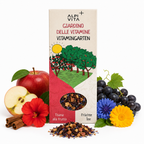 Giardino delle Vitamine – Tisana alla frutta, 100g