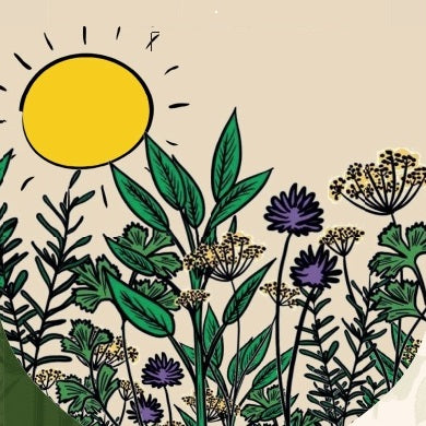 Miscela di Tè alle ERBE DI MONTAGNA, intenso, aromatico, 50g