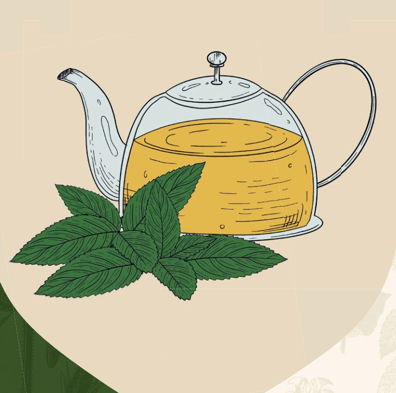 Tè naturale di erbe MENTA PIPERITA, intenso, aromatico, 50g