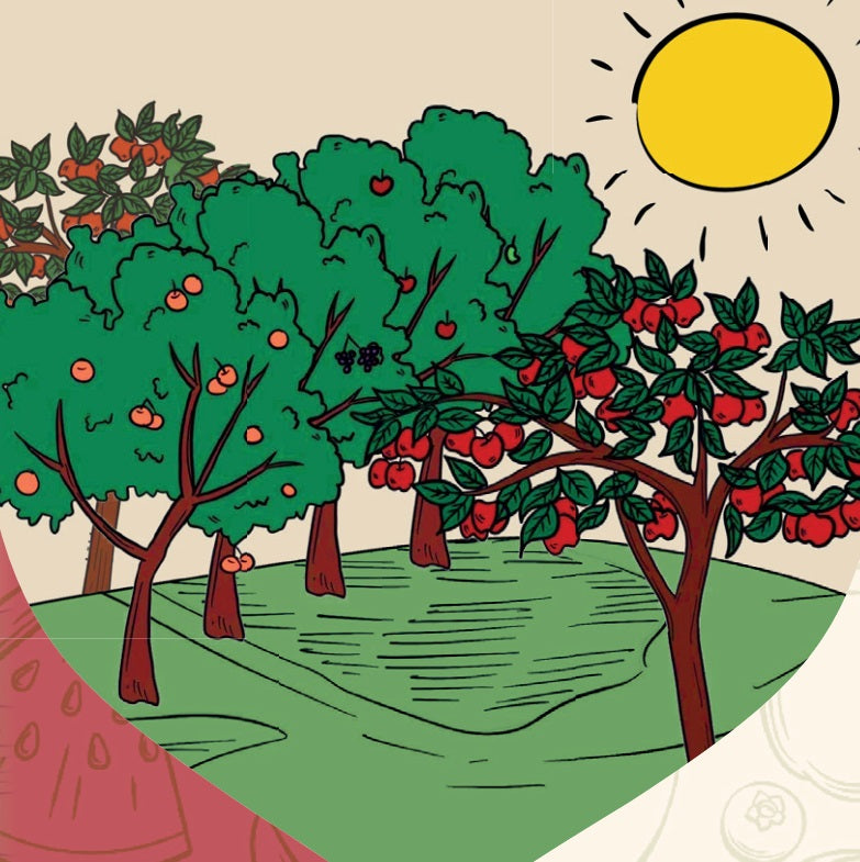 Miscela di tè frutta CESTINO DI FRUTTA, esotica, fruttata, dolce, 100g